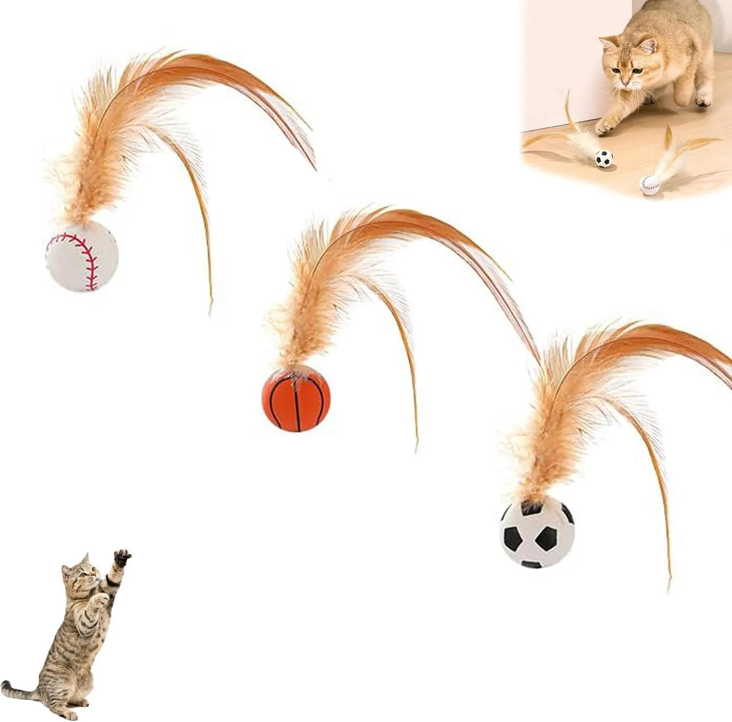 Interactive Cat Balls